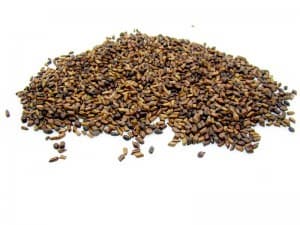 Natural Cassia Seed Extract Powder